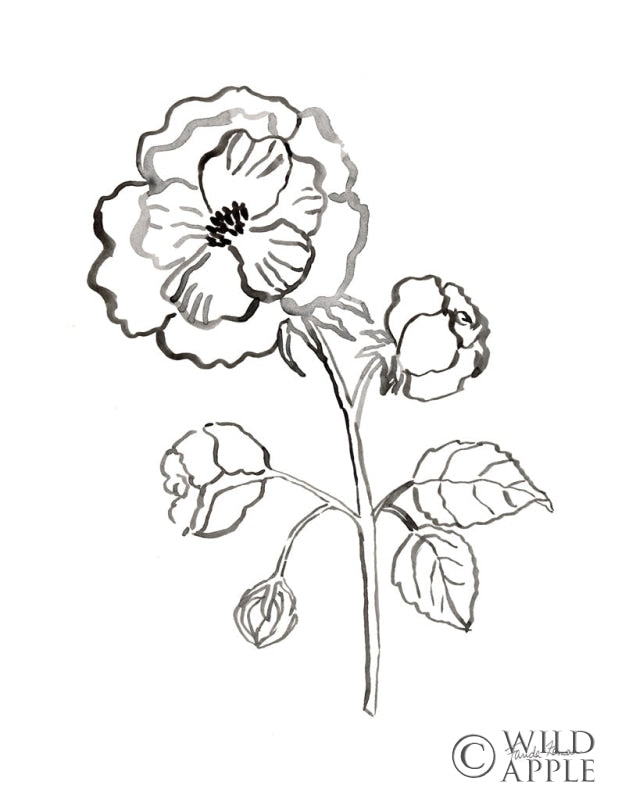 Reproduction of Joyful Peonies II by Farida Zaman - Wall Decor Art