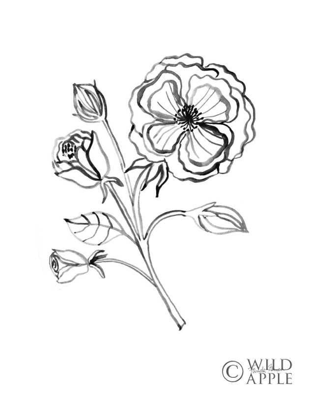 Reproduction of Joyful Peonies III by Farida Zaman - Wall Decor Art