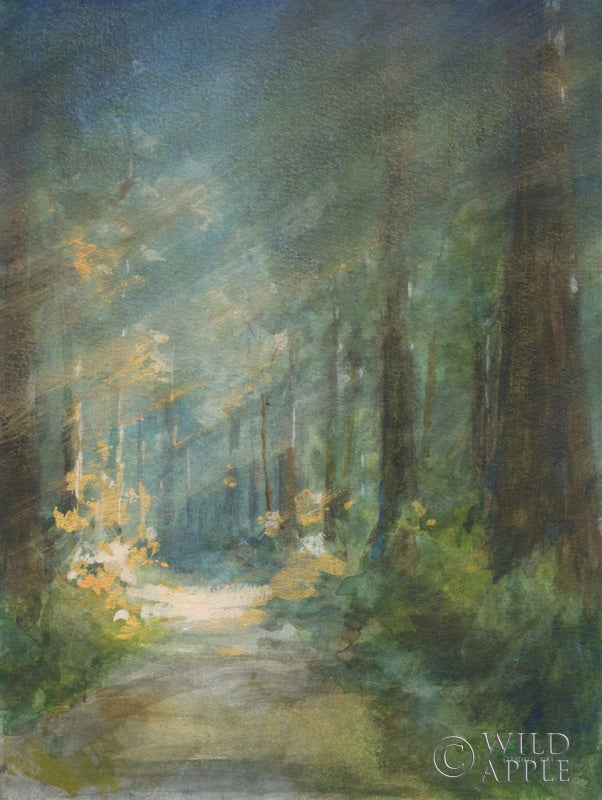 Reproduction of Sun Soaked Redwoods by Danhui Nai - Wall Decor Art