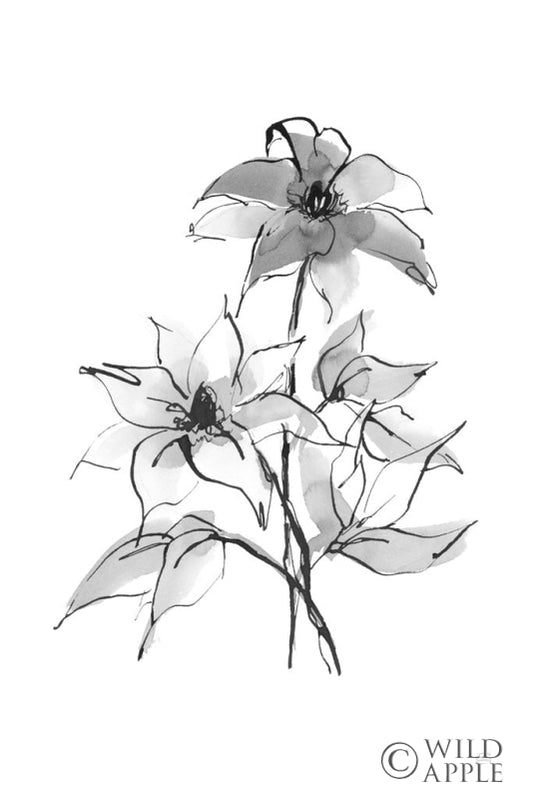 Reproduction of Wash Clematis by Chris Paschke - Wall Decor Art