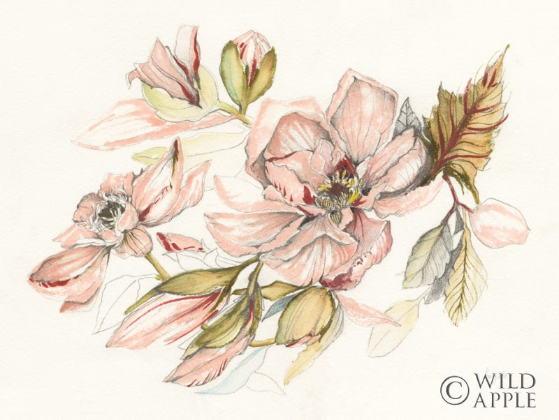 Reproduction of Magnolia Morning by Kristy Rice - Wall Decor Art