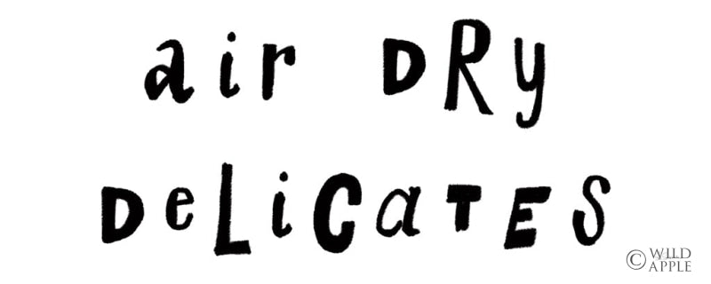 Reproduction of Laundry Room Delicates by Sue Schlabach - Wall Decor Art