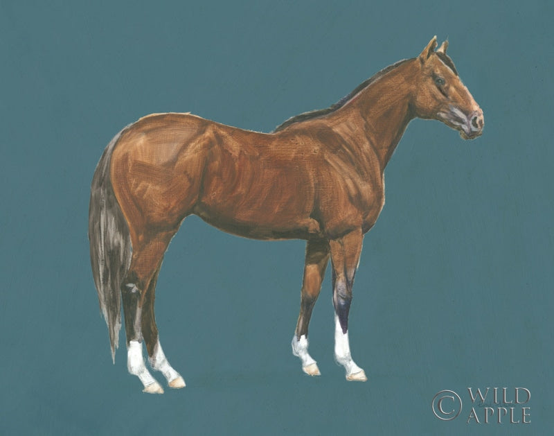 Reproduction of Natural Charm I Blue by Emily Adams - Wall Decor Art