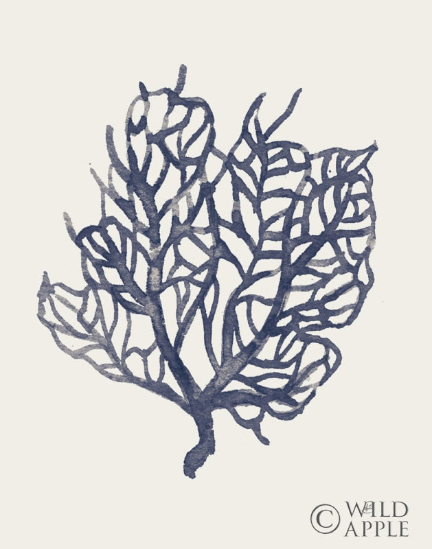 Reproduction of Ocean Finds XIV Navy by Daphne Brissonnet - Wall Decor Art