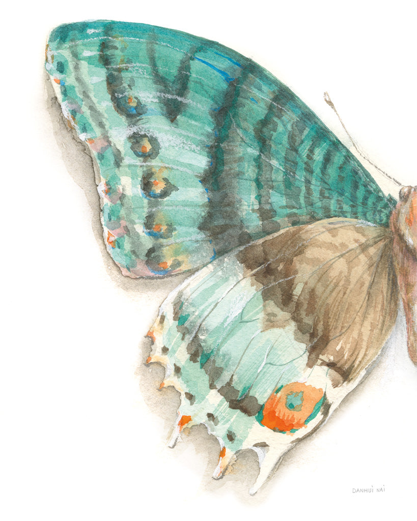 Reproduction of Fragile Wings III Crop by Danhui Nai - Wall Decor Art