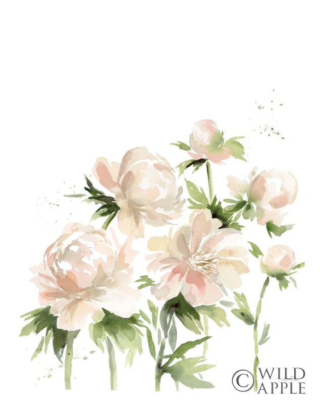 Reproduction of Peonies I by Katrina Pete - Wall Decor Art