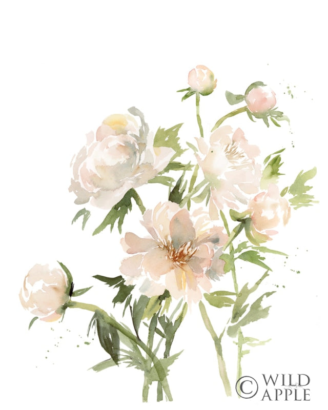 Reproduction of Peonies II by Katrina Pete - Wall Decor Art