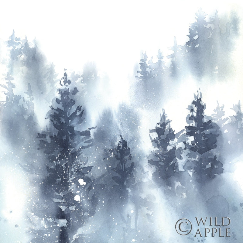 Misty Forest II