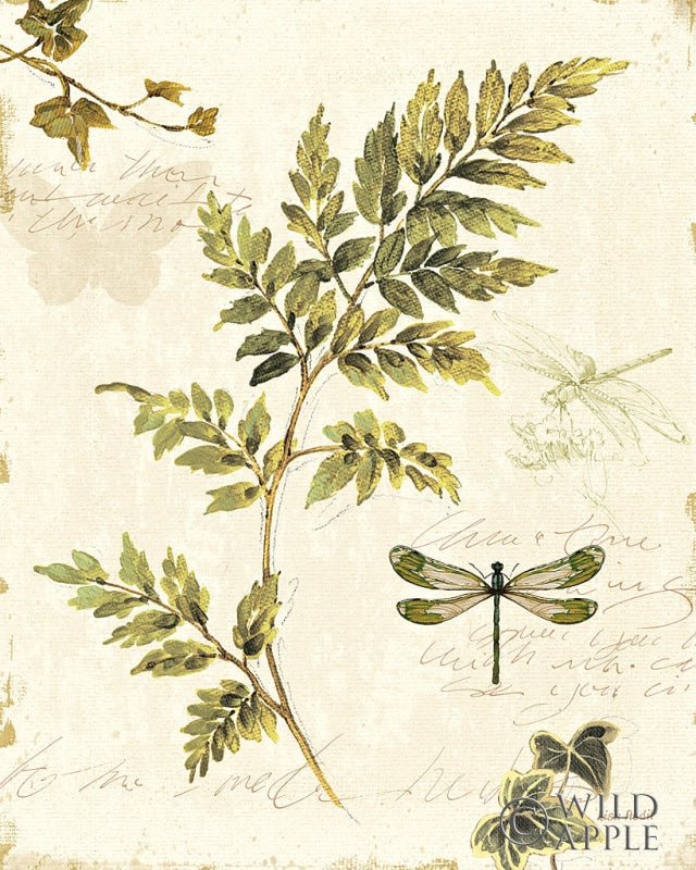 Reproduction of Ivies and Ferns III by Lisa Audit - Wall Decor Art