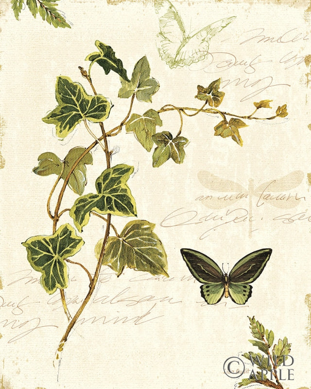 Reproduction of Ivies and Ferns IV by Lisa Audit - Wall Decor Art