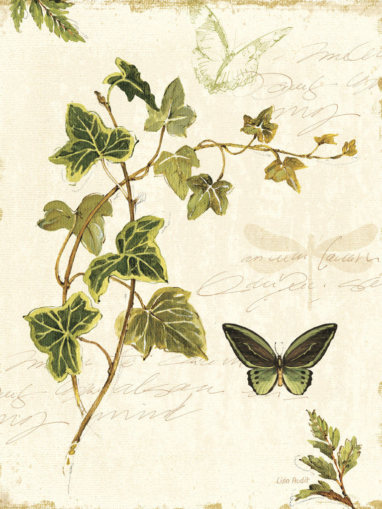 Reproduction of Ivies and Ferns IV Crop by Lisa Audit - Wall Decor Art