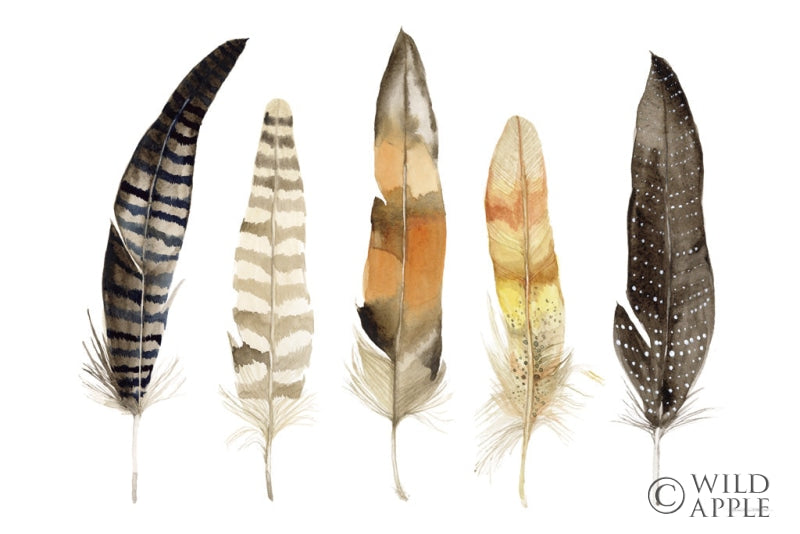 Reproduction of Natural Feathers by Kathleen Parr McKenna - Wall Decor Art