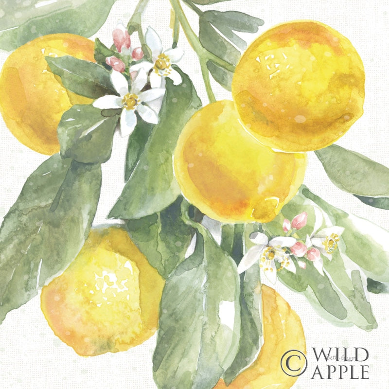 Reproduction of Citrus Charm Lemons II by Beth Grove - Wall Decor Art