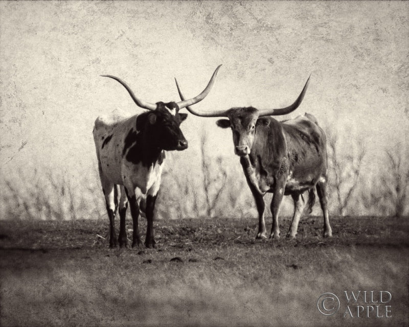 Reproduction of Texas Longhorns by Debra Van Swearingen - Wall Decor Art
