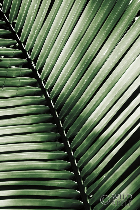 Reproduction of Palm Frond I Green by Debra Van Swearingen - Wall Decor Art