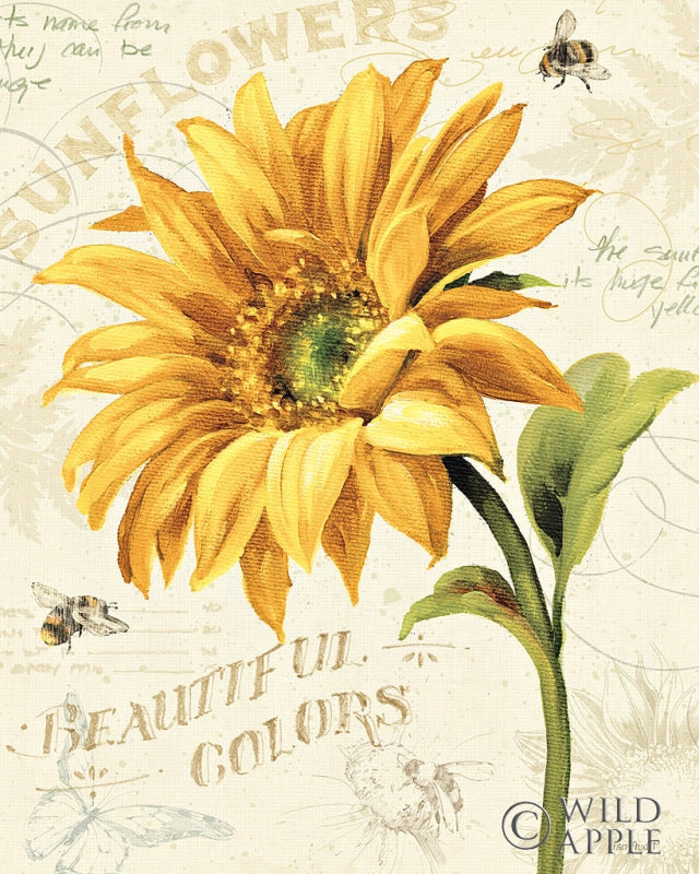 Reproduction of Under the Sun II by Lisa Audit - Wall Decor Art