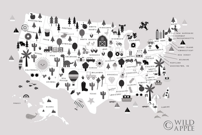 Fun USA Map BW