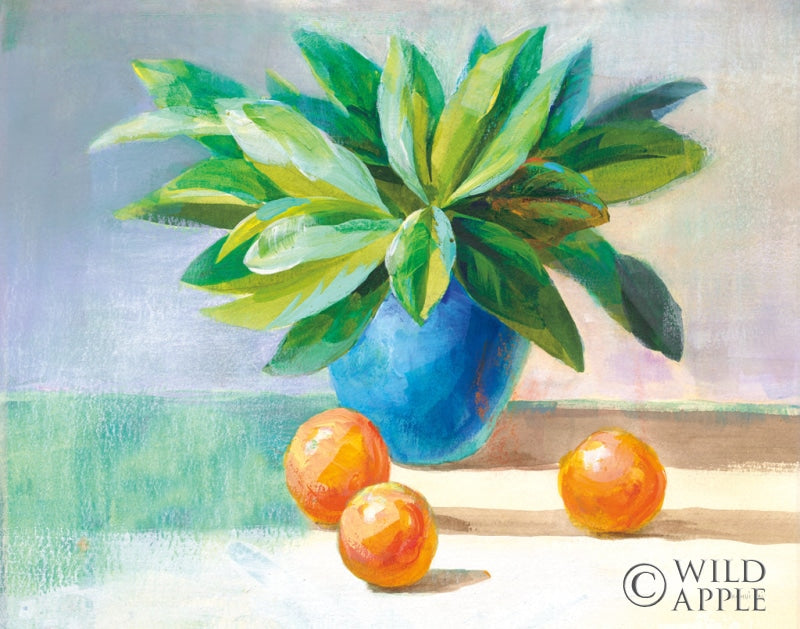 Reproduction of Citrus Still Life by Danhui Nai - Wall Decor Art