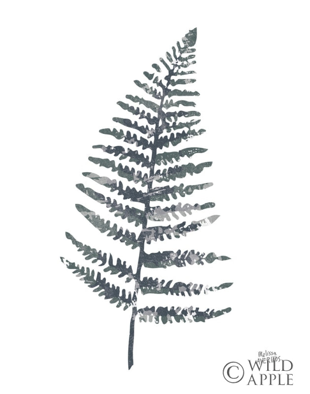 Reproduction of Fern I by Melissa Averinos - Wall Decor Art