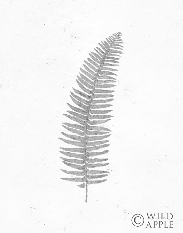 Reproduction of Soft Summer Sketches I Blue by James Wiens - Wall Decor Art