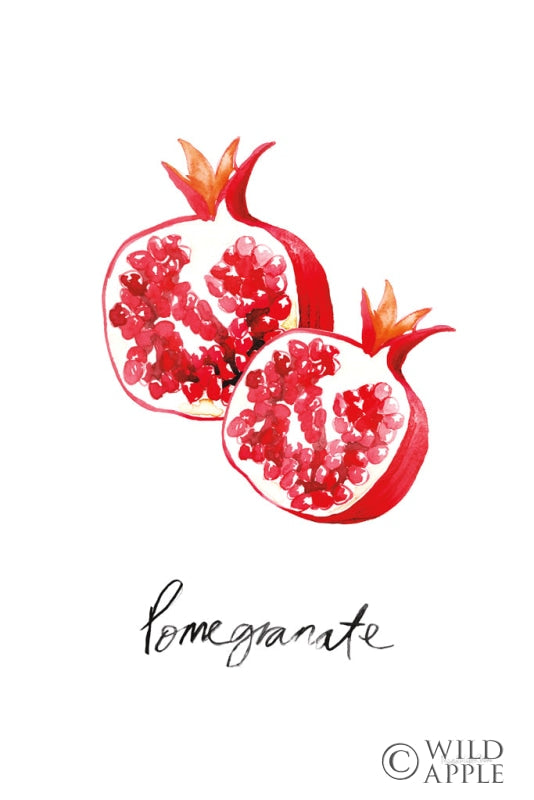 Reproduction of Pomegranates by Mercedes Lopez Charro - Wall Decor Art