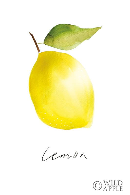 Reproduction of Single Lemon by Mercedes Lopez Charro - Wall Decor Art