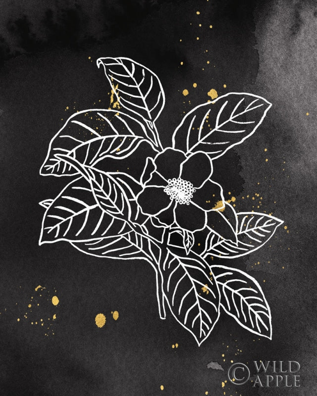 Reproduction of Indigo Blooms I Black by Wild Apple Portfolio - Wall Decor Art