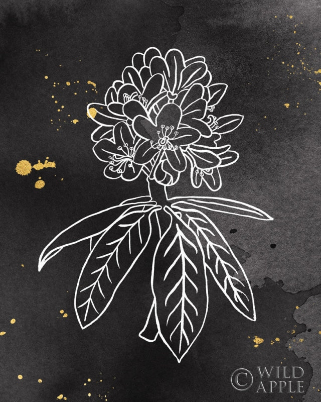 Reproduction of Indigo Blooms II Black by Wild Apple Portfolio - Wall Decor Art