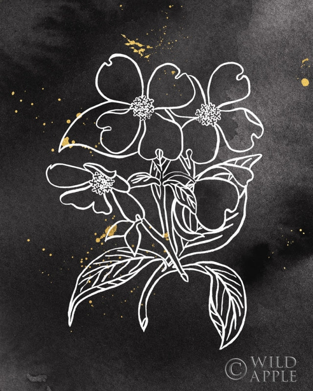 Reproduction of Indigo Blooms III Black by Wild Apple Portfolio - Wall Decor Art