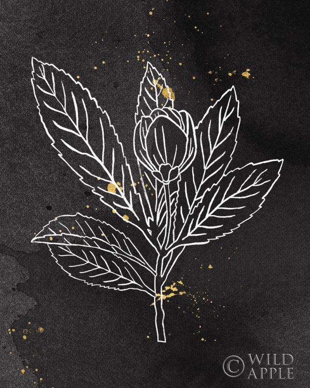 Reproduction of Indigo Blooms IV Black by Wild Apple Portfolio - Wall Decor Art