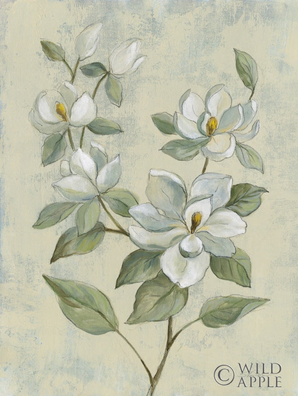Reproduction of Sage Magnolia by Silvia Vassileva - Wall Decor Art
