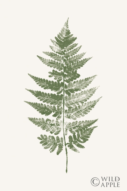 Reproduction of Fern Print I White Crop by Moira Hershey - Wall Decor Art