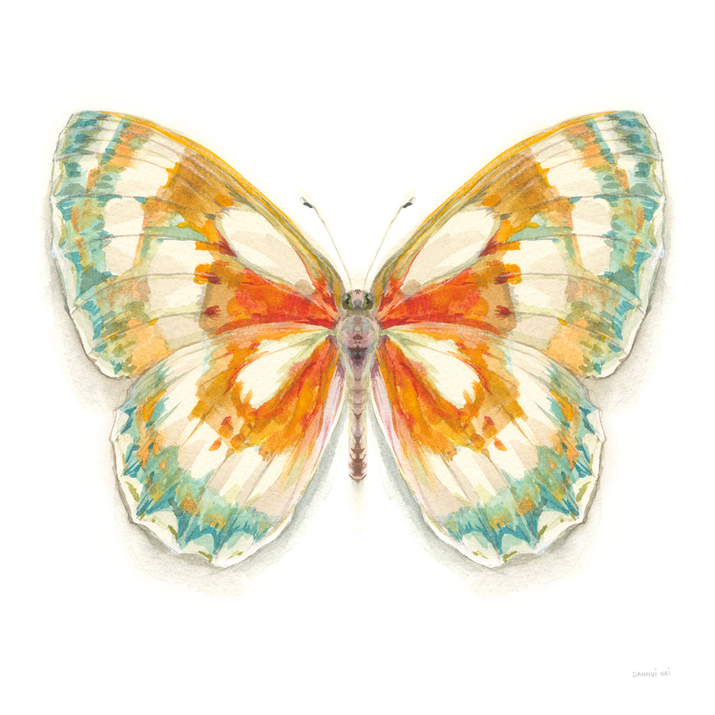 Reproduction of Fragile Wings Butterfly II by Danhui Nai - Wall Decor Art