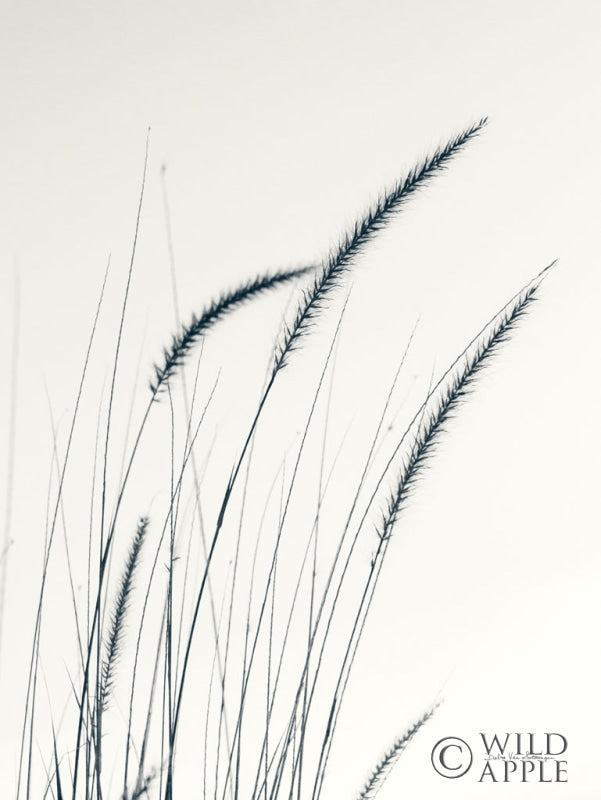 Reproduction of Field Grasses III by Debra Van Swearingen - Wall Decor Art