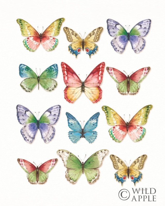 Reproduction of Colorful Breeze Butterflies by Lisa Audit - Wall Decor Art