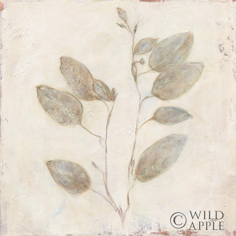 Reproduction of Plantlife II by Julia Purinton - Wall Decor Art