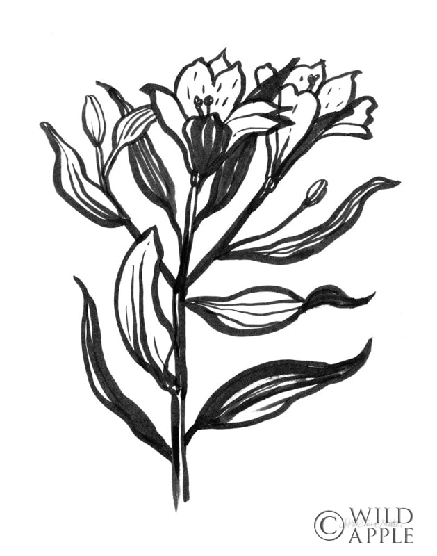 Reproduction of Ink Flower I by Sara Zieve Miller - Wall Decor Art