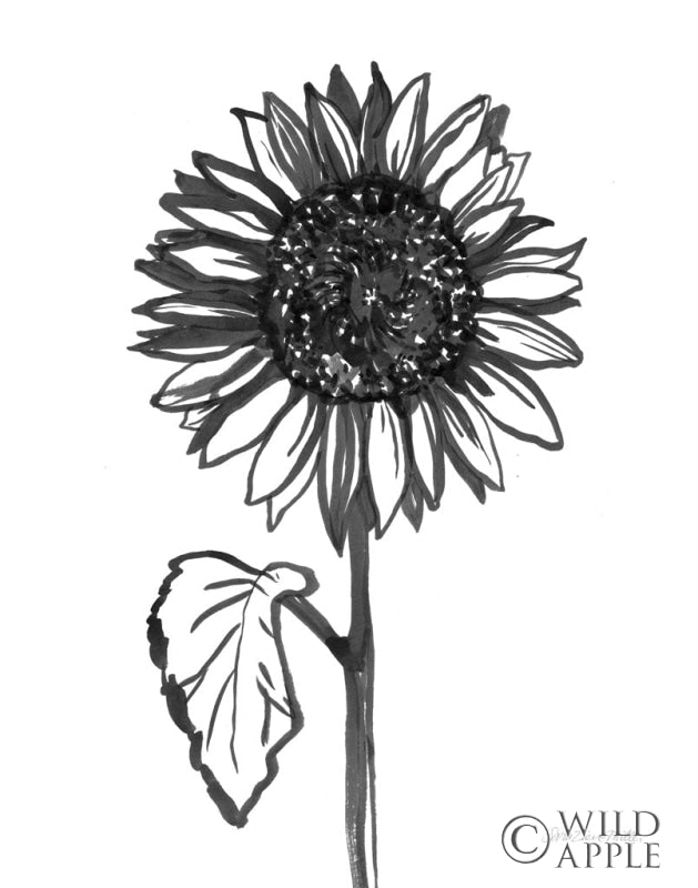 Reproduction of Ink Sunflower by Sara Zieve Miller - Wall Decor Art