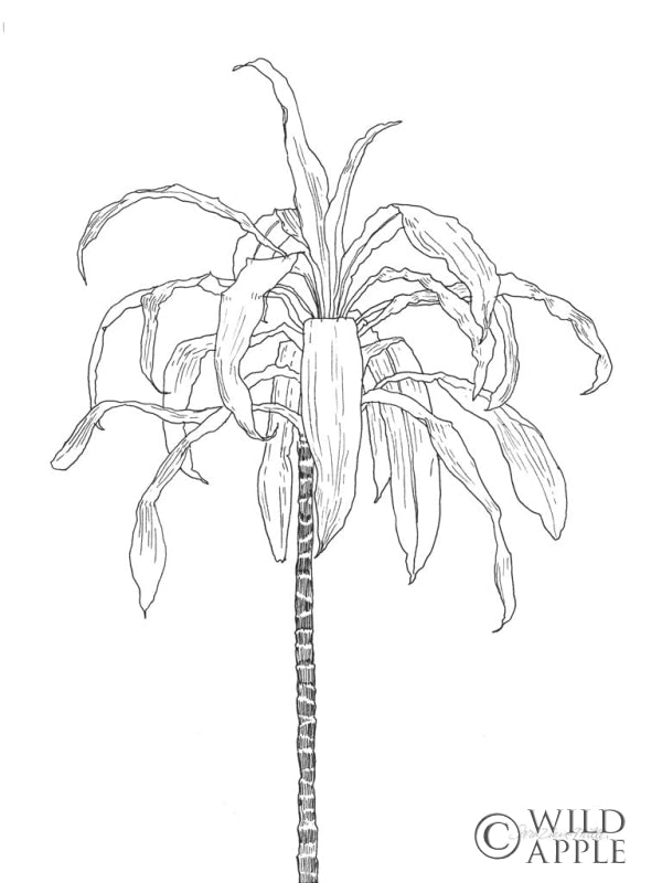 Reproduction of Sketched Tree I by Sara Zieve Miller - Wall Decor Art