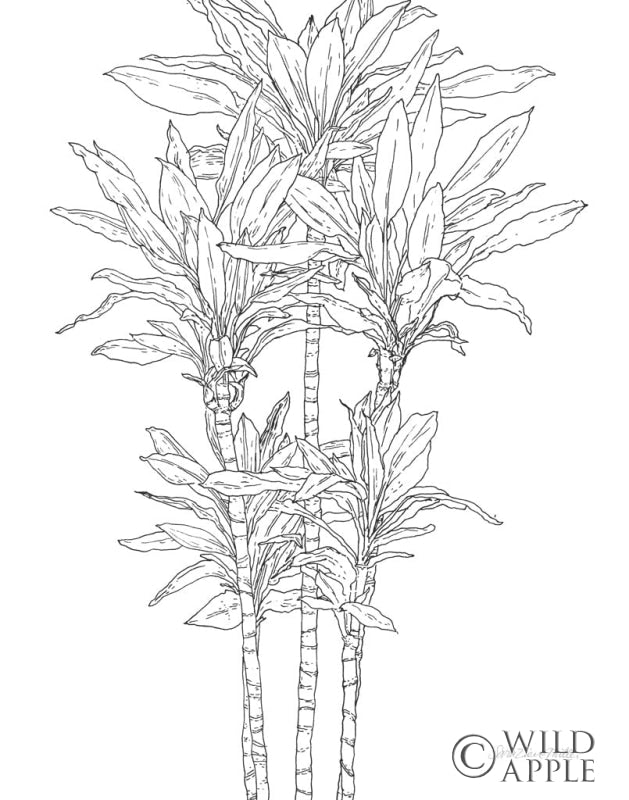 Reproduction of Sketched Tree II by Sara Zieve Miller - Wall Decor Art