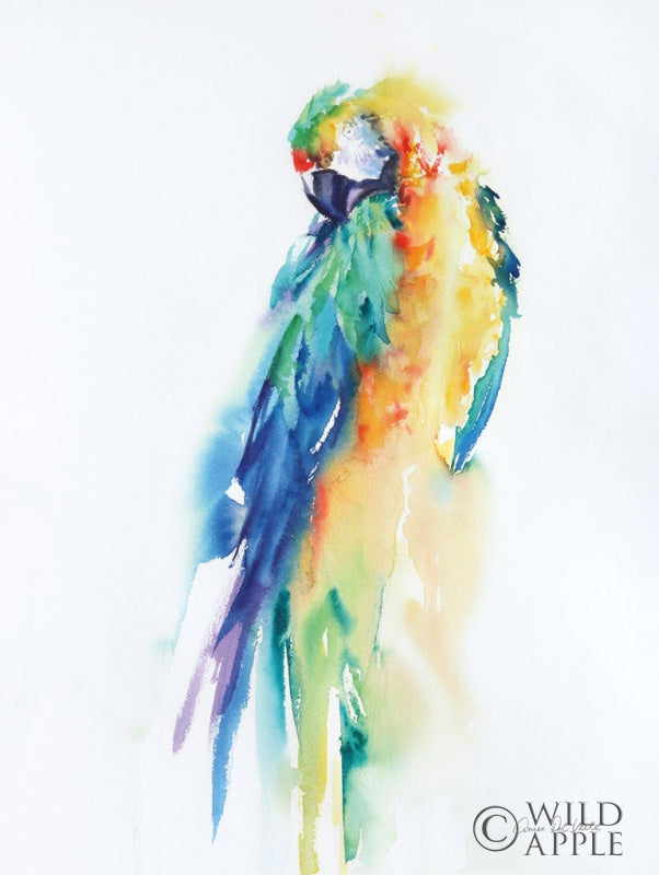 Reproduction of Colorful Parrots II by Aimee Del Valle - Wall Decor Art
