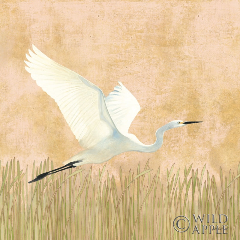 Reproduction of Egret Alighting II by Kathrine Lovell - Wall Decor Art