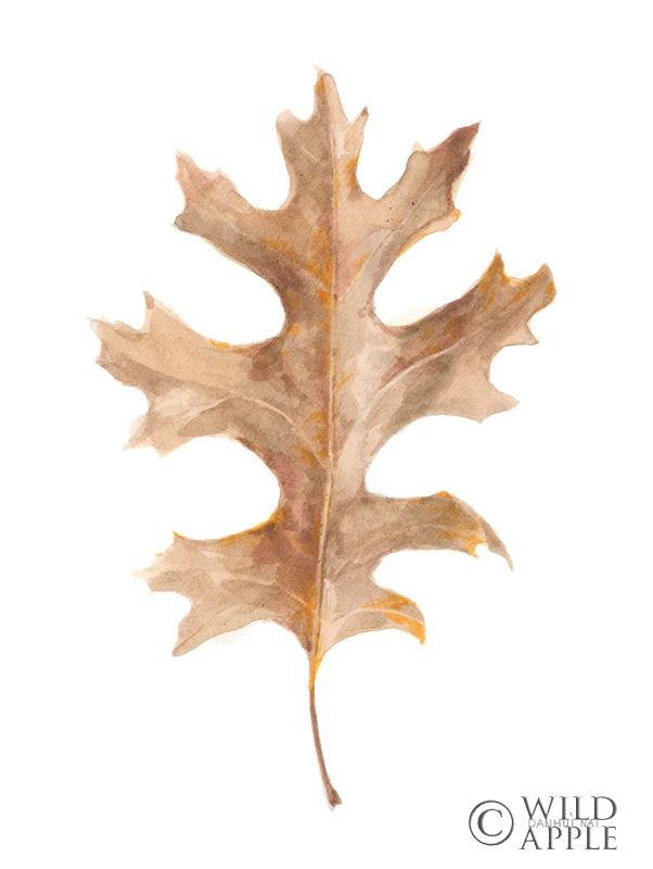 Reproduction of Fallen Leaf I by Danhui Nai - Wall Decor Art