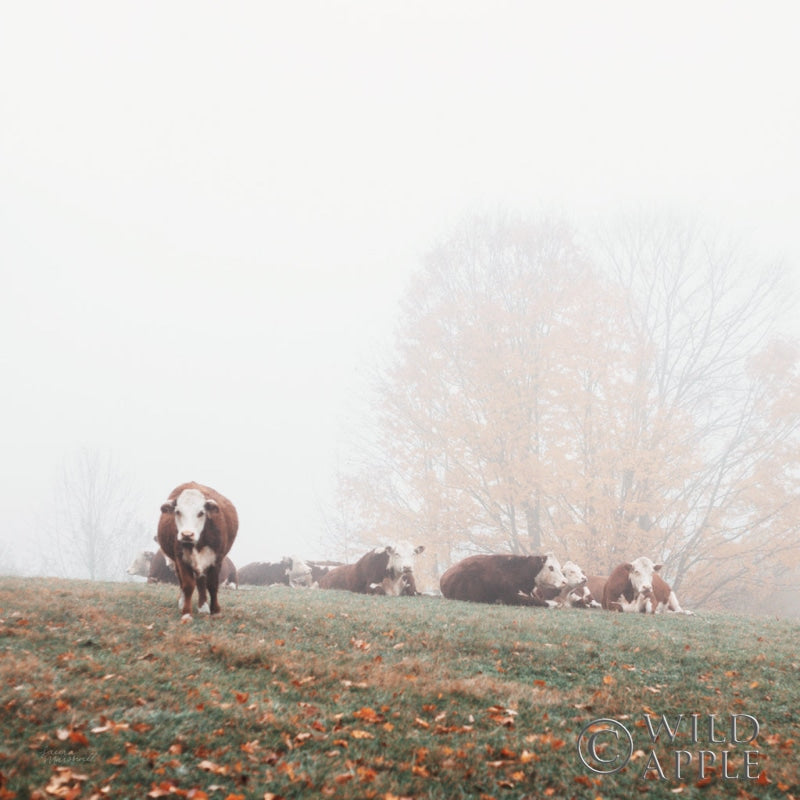 Reproduction of Misty Pasture by Laura Marshall - Wall Decor Art
