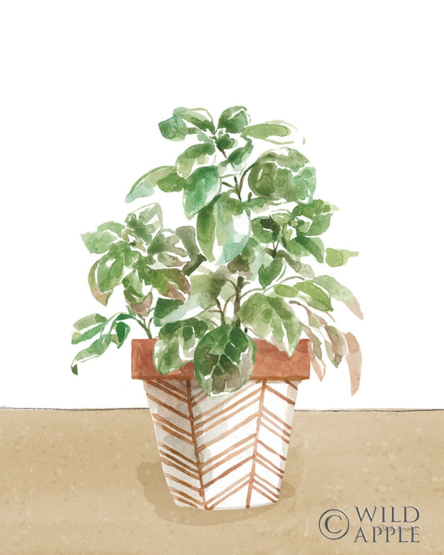 Reproduction of Herb Garden II White by Beth Grove - Wall Decor Art