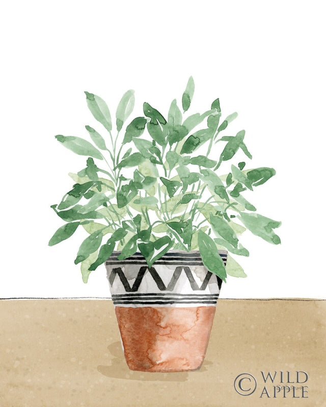 Reproduction of Herb Garden V White by Beth Grove - Wall Decor Art