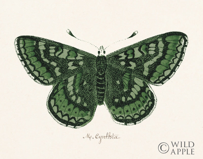 Reproduction of Antique Butterfly I by Wild Apple Portfolio - Wall Decor Art