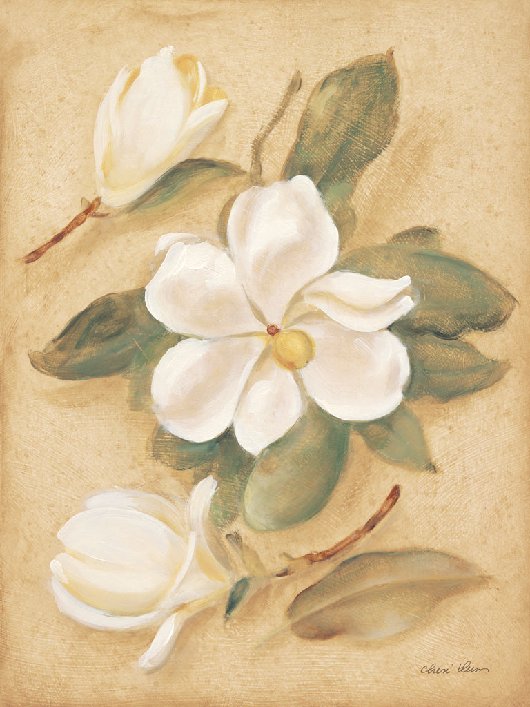 Reproduction of Magnolia by Cheri Blum - Wall Decor Art