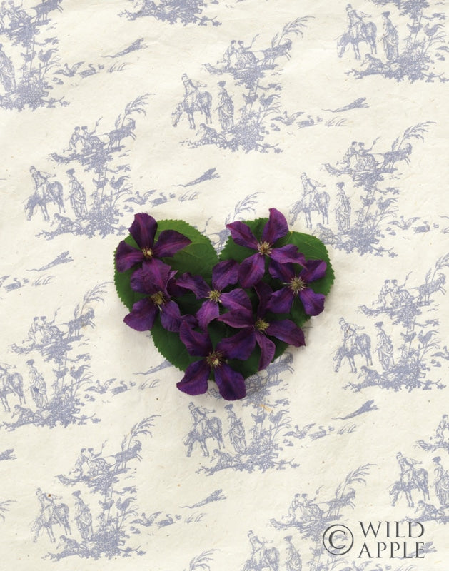 Reproduction of Clematis Heart by Wild Apple Portfolio - Wall Decor Art