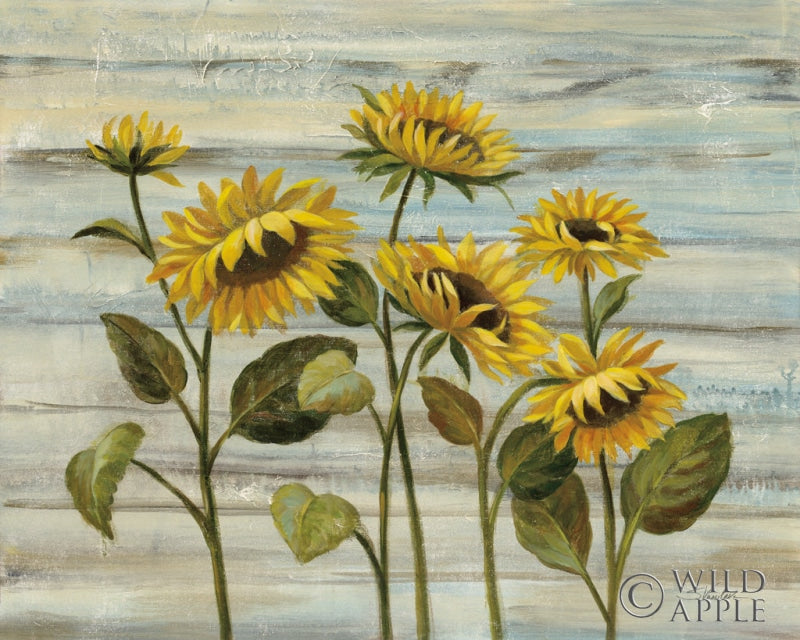 Reproduction of Cottage Sunflowers by Silvia Vassileva - Wall Decor Art